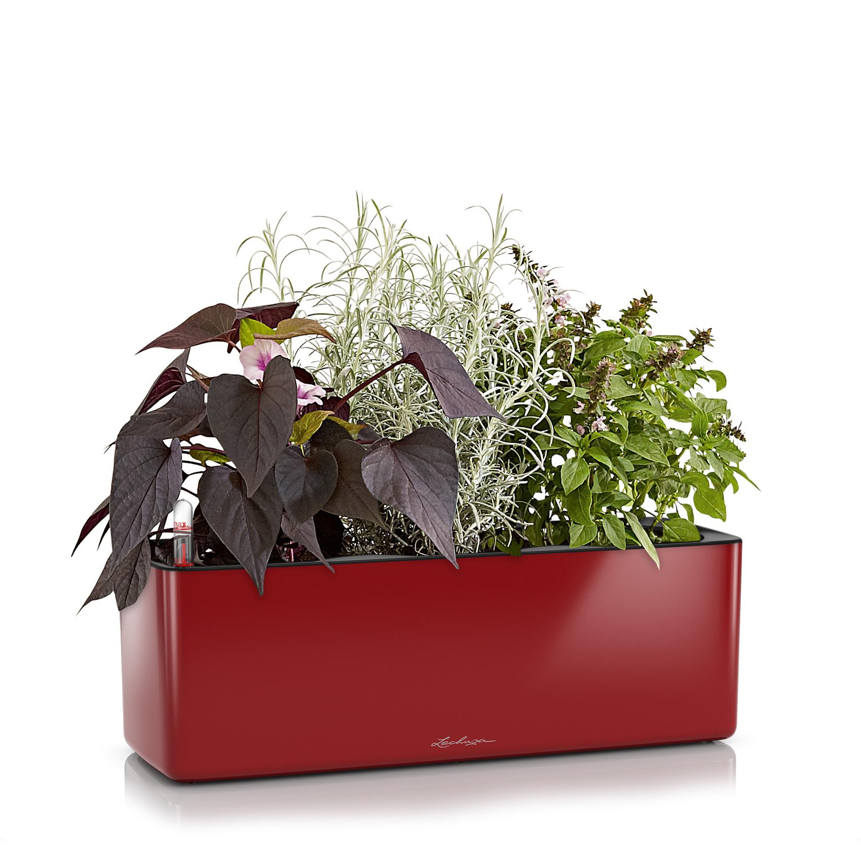 CUBE Glossy Triple scarlet red high-gloss